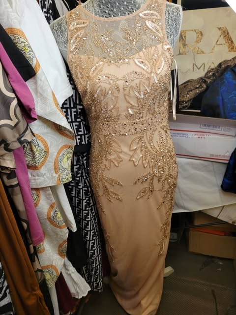 Adrianna Papell Sleeveless Beaded Mesh Illusion Formal Column Gown - Blush/Nude Gold