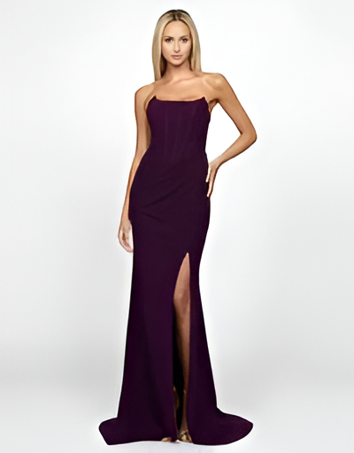 [Brand TBD] Women's PURPLE PINK MARSIYA POINTED CORSET GOWN